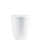 Fienza Alix Wall Faced Toilet (S Trap) Geberit Sigma In Wall Cistern (No Button) Gloss White K025A-GE