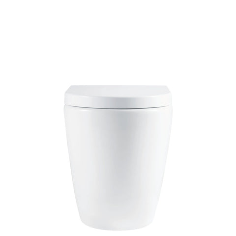 Fienza Alix Wall Faced Toilet (P Trap) Pan & Seat Gloss White K025-PS