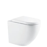 Fienza Alix Wall Faced Toilet (S Trap) Geberit Sigma In Wall Cistern (No Button) Gloss White K025A-GE