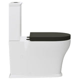 Fienza Lillian Tornado Back To Wall S Trap 90-160mm R&T Flush Gloss White w/ Gloss Black Seat K031GBA