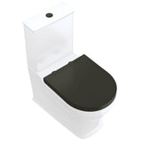 Fienza Lillian Tornado Back To Wall S Trap 160-230mm R&T Flush Gloss White w/ Gloss Black Seat K031GBB
