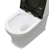 Fienza Lillian Tornado Back To Wall S Trap 160-230mm R&T Flush Gloss White w/ Gloss Black Seat K031GBB