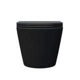 Fienza Koko Wall Hung Toilet Suite w/ Viega V-04 Under Counter Cistern (No Button) Matte Black K2376MB-V4