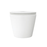 Fienza Koko Tornado Wall Hung Toilet Suite Viega V-02 In Wall Cistern (No Button) Matte White K2376MW-V2