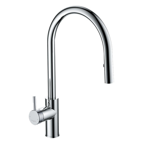 Argent Grace Gooseneck Kitchen Mixer Pull Out Aerator Chrome KM422889