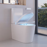 Fienza Sona Back To Wall Jet Flush Smart Toilet Remote Control Gloss White KS100-REMOTE