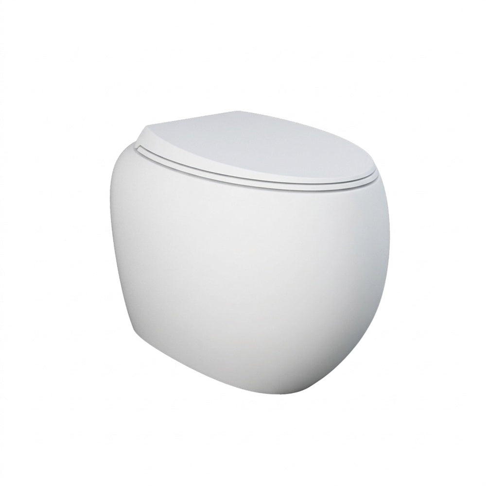 Fienza Rak Cloud Wall Faced Under Counter Toilet Suite No Button P Trap w/ Viega V-03 Cistern Matte White 897850MW