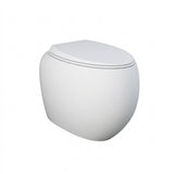 Fienza Rak Cloud Wall Faced Under Counter Toilet Suite No Button P Trap w/ Viega V-03 Cistern Matte White 897850MW