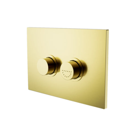 Nero Raised Disabled Care Pneumatic Flush Button Plate Brushed Gold NRCRPL002BG