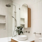 Amelie Royale Deluxe Round Twin Shower 3 Function Hand Shower Dual Check Valve Brushed Nickel BDO250805DBN