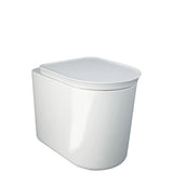 Fienza Rak Valet Wall Faced Suite S Trap w/ Viega V-03 Cistern No Button w/ Seat Gloss White RKT1347WA-V3