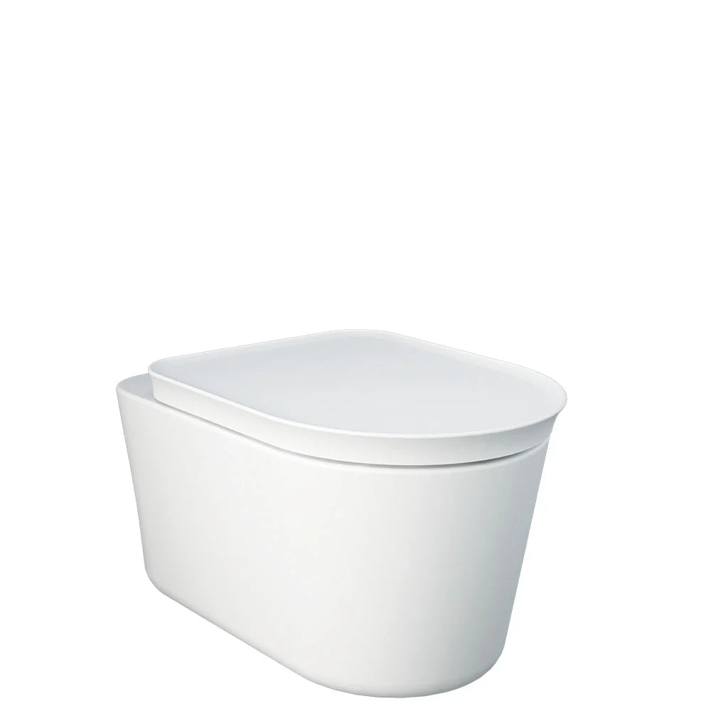 Fienza Rak Valet Wall Hung Suite w/ Rt Inwall Cistern No Button w/ Seat Matte White RKT1446MW-RT