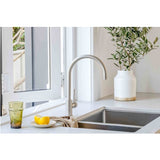 ADP Soul Groove Kitchen Mixer Brushed Nickel JTAPKSOUNK