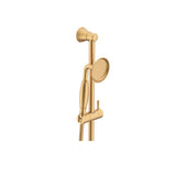 ADP Eternal Handshower on Rail Brushed Brass JTAPSRSETSOEBB