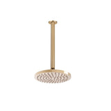 ADP Bloom Shower Rose & Dropper Brushed Brass JTAPSRACSETBLMBB