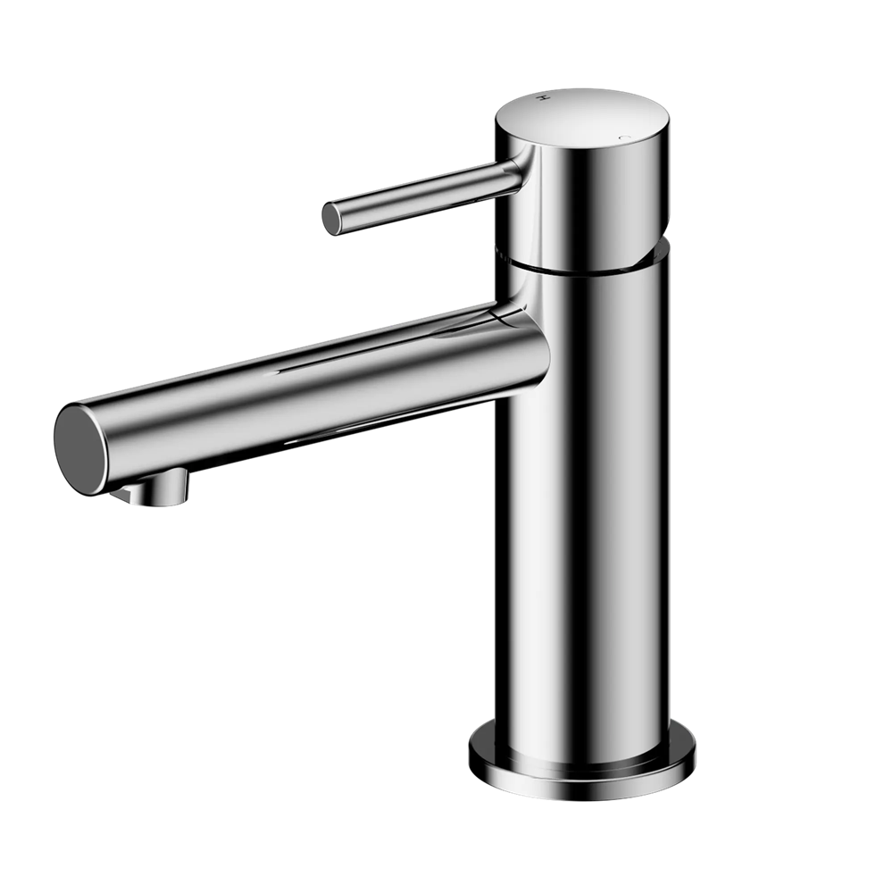 Nero Dolce Ii Care Grab Rail Adjustable Shower Set 32x900mm Polished Chrome 26B0010PC