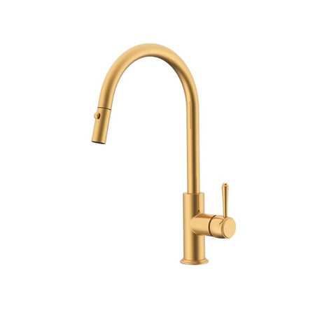 ADP Eternal Pull Kitchen Mixer Brushed Brass JTAPKPSOEBB