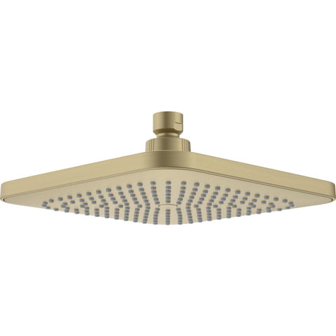 Caroma Luna Overhead Shower Head Only Brushed Brass 90386BB4E