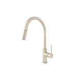 ADP Bloom Pull Kitchen Mixer Brushed Nickel JTAPKPBLMNK