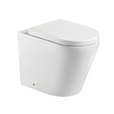 Fienza Isabella Wall Faced Pan (P Trap) & R&T In Wall Cistern (No Button) Gloss White K019-R&T