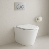 Amelie Deauville Wall Faced Toilet Package (Wall Face Pan w/ Soft Close UF Seat White + In-Wall Cistern + Stainless Steel Flush Button) BDOSORBIWFPUFSS