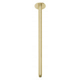 Phoenix Vivid Ceiling Arm 450mm Brushed Gold V545-12 (4483861348412)