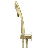 Meir Round Hand Shower on Swivel Bracket Tiger Bronze MZ06-PVDBB