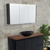 Fienza Mirror LED Cabinet 1200mm Satin Black PSC1200B-LED
