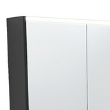Fienza Mirror LED Cabinet 1200mm Satin Black PSC1200B-LED