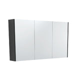 Fienza Mirror Cabinet 1200mm Matte Black PSC1200B (4689840177212)