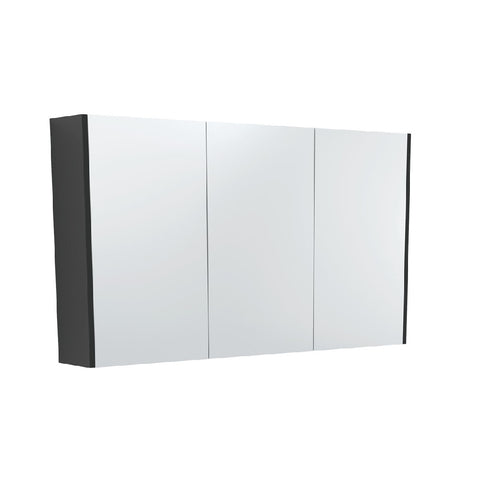 Fienza Mirror Cabinet 1200mm Matte Black PSC1200B (4689840177212)