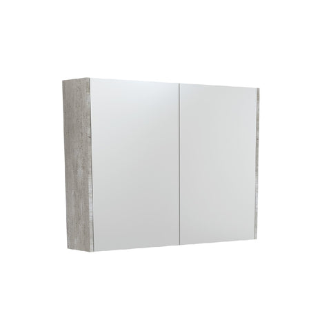Fienza Mirror Cabinet 900mm Industrial PSC900X (4689840046140)