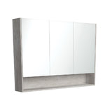 Fienza Mirror Cabinet 1200mm with Undershelf Industrial PSC1200SX (4689840472124)