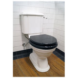Turner Hastings Birmingham Close Coupled Toilet Suite Including Black Seat BI200CCT-BS