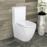 Fienza Alix Extended Height Toilet Suite White S-Trap 90-160mm K011A
