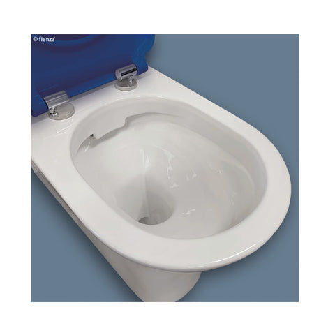 Fienza Delta Care 800 Toilet Suite S Trap 90-280mm Blue Seat K013A