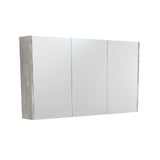 Fienza Mirror Cabinet 1200mm Industrial PSC1200X (4689840078908)