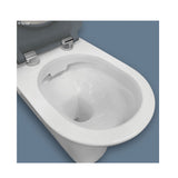 Fienza Delta Care 800 Toilet Suite S Trap 90-280mm Grey Seat K013GP