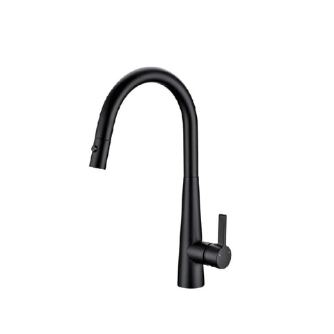 P&P Otus Lux Sink Mixer with Pull Out Spray Matte Black PC1017SB-B