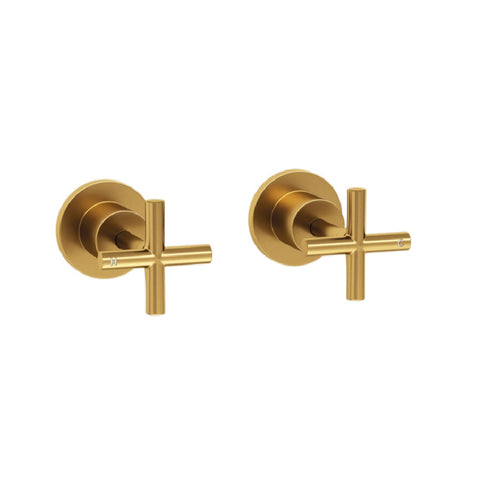 Eva Wall Top Assembly Taps PVD Gold