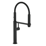 Franke Pescara 360 Pull Out Sink Mixer Tap Matte Black TA7360MB