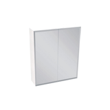 Fienza Mirror Cabinet 600mm Beveled Edge White B600 (4488982986812)