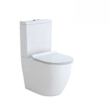Fienza Toilet Back to Wall Koko Rimless Thin Seat White - Chrome Buttons (2530541961276)